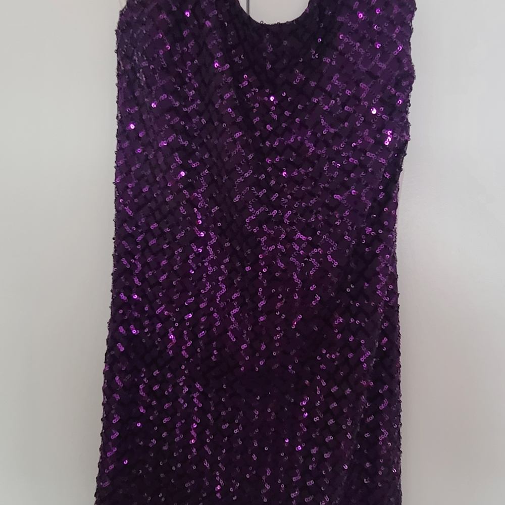 Bear Dance Sparkling Purple Sequin Dress